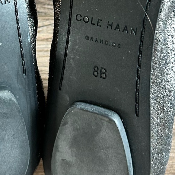 Cole Haan Shimmer Ballet Flat Metallic Glitter Travel Fold Shoe Mary Jane Kawaii - Picture 6 of 6